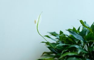 川﨑胃腸科・内科クリニックのイメージ